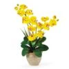 2ft. Double Moth Orchid Silk Flower Arrangement Yellow -Michaels Shop D386914S 1