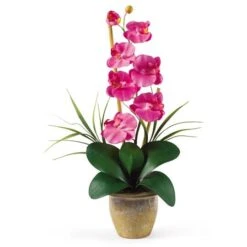 21" Moth Orchid Flower Arrangement In Ceramic Pot Dark Pink -Michaels Shop D386922S 1 1