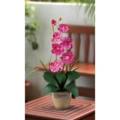 21" Moth Orchid Flower Arrangement In Ceramic Pot Dark Pink -Michaels Shop D386922S 2