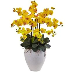 3ft. Moth Orchid Arrangement In White Planter Yellow 9 3ft. Moth Orchid Arrangement In White Planter Yellow -Michaels Shop D386942S 11 1
