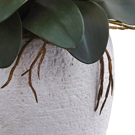 3ft. Moth Orchid Arrangement In White Planter Yellow 7 3ft. Moth Orchid Arrangement In White Planter Yellow - Image 5