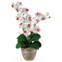 2ft. Double Moth Orchid Silk Flower Arrangement White 6 2ft. Double Moth Orchid Silk Flower Arrangement White -Michaels Shop D387008S 1 1