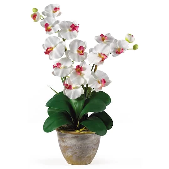 2ft. Double Moth Orchid Silk Flower Arrangement White 4 2ft. Double Moth Orchid Silk Flower Arrangement White - Image 2