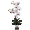 Double Giant Phalaenopsis With Vase -Michaels Shop D387070S 1