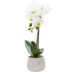 Phalaenopsis Orchid Artificial Arrangement (Set Of 2) 9 Phalaenopsis Orchid Artificial Arrangement (Set Of 2) -Michaels Shop D387082S 12