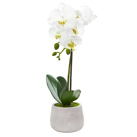 Phalaenopsis Orchid Artificial Arrangement (Set Of 2) 5 Phalaenopsis Orchid Artificial Arrangement (Set Of 2) - Image 3