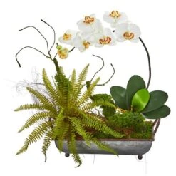 20" Phalaenopsis Orchid & Fern Arrangement In Metal Tray Cream