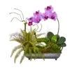 20" Phalaenopsis Orchid & Fern Arrangement In Metal Tray Mauve -Michaels Shop D387848S 1