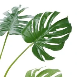 Monstera Leaf Decorations With Pot, 29", Green -Michaels Shop D404842S 4