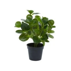 Green Plastic Traditional Artificial Foliage, 10" X 7" X 13" -Michaels Shop D404856S 7