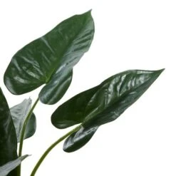 Tall Artificial Anthurium Leaf Plant WMetal Pot For Indoor Decor, 18" -Michaels Shop D404857S 4