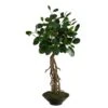 2ft. Ficus Bonsai Artificial Tree In Decorative Planter -Michaels Shop D478504S 1