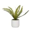 Green Ceramic Contemporary Artificial Foliage, 12" X 15" X 10" 2 Green Ceramic Contemporary Artificial Foliage, 12" X 15" X 10" -Michaels Shop D507807S 1