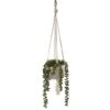 Flora Bunda® 5.5" String Of Pearls Macramé Hanging Ceramic Donkey Tails -Michaels Shop D511309S 1