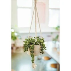 Flora Bunda® 5.5" String Of Pearls Macramé Hanging Ceramic Donkey Tails -Michaels Shop D511309S 3