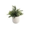 Flora Bunda® 6" Eucalyptus Plant In Ceramic Texture Planter -Michaels Shop D511314S 1