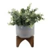 Flora Bunda® 11.5" Gray Eucalyptus In Ceramic Pot On Wood Stand