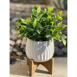 Flora Bunda® 10.7" Tea Leaf In Ridge Pot On Stand -Michaels Shop D511318S 3