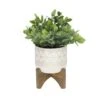 Flora Bunda® 11" Tea Plant In Geo Ceramic Footed Pot -Michaels Shop D511319S 1