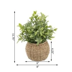 Flora Bunda® 11.7" Tea Leaf Plant In Basket -Michaels Shop D511321S 2