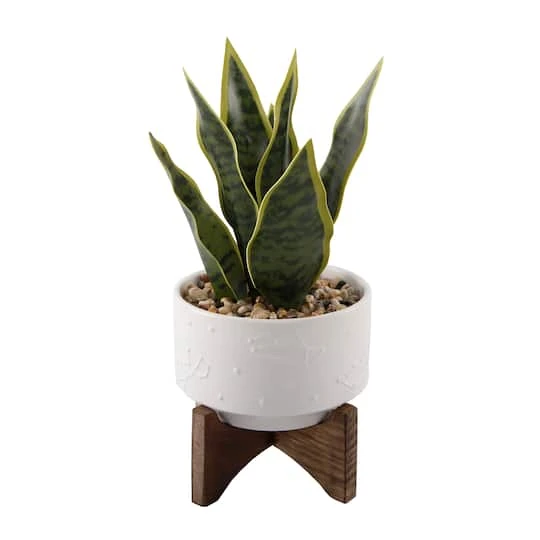 Flora Bunda® 9.7" Snake Plant In Ceramic Pot With Wood Stand 3 Flora Bunda® 9.7" Snake Plant In Ceramic Pot With Wood Stand
