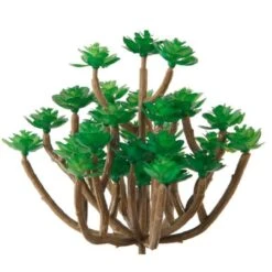 Flora Bunda® Mini Succulent Pick, 6ct.
