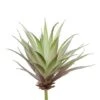 Flora Bunda® Agave Succulent Pick, 6ct. -Michaels Shop D581948S 1