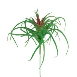 Flora Bunda® Air Plant Succulent Pick, 6ct. -Michaels Shop D581949S 2