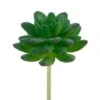 Flora Bunda® Stonecrop Succulent Pick, 12ct. -Michaels Shop D581953S 1