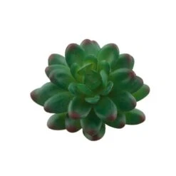Flora Bunda® Stonecrop Succulent Pick, 12ct. -Michaels Shop D581953S 2