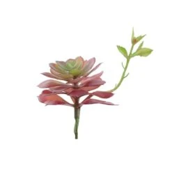 Flora Bunda® Red Echeveria Lola Succulent Pick, 6ct. -Michaels Shop D581956S 2