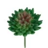 Flora Bunda® Bean Succulent Pick, 12ct.