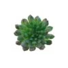 Flora Bunda® Succulent Pick, 6ct. -Michaels Shop D581959S 1