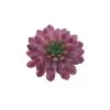 Flora Bunda® Red Succulent Pick, 6ct. -Michaels Shop D581960S 1
