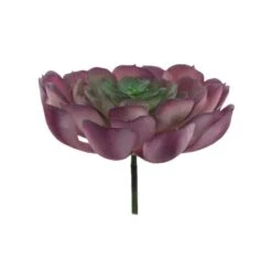 Flora Bunda® Red Large Echeveria Powder Succulent Pick, 6ct. -Michaels Shop D581961S 2