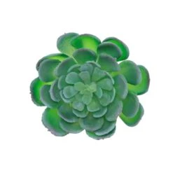 Flora Bunda® Large Echeveria Powder Succulent Pick, 6ct. -Michaels Shop D581962S 1 1