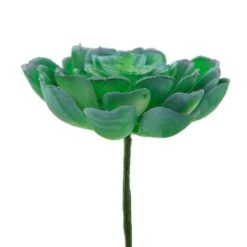 Flora Bunda® Large Echeveria Powder Succulent Pick, 6ct. -Michaels Shop D581962S 2