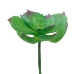 Flora Bunda® Small Echeveria Afterglow Succulent Pick, 12ct. -Michaels Shop D581963S 2