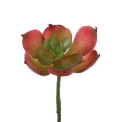 Flora Bunda® Red Small Echeveria Afterglow Succulent Pick, 12ct. -Michaels Shop D581964S 1 1