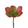 Flora Bunda® Red Small Echeveria Afterglow Succulent Pick, 12ct. 2 Flora Bunda® Red Small Echeveria Afterglow Succulent Pick, 12ct. -Michaels Shop D581964S 1
