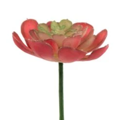 Flora Bunda® Red Small Echeveria Succulent Pick, 12ct. -Michaels Shop D581965S 2