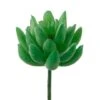Flora Bunda® Green Small Little Gem Succulent Pick, 12ct. -Michaels Shop D581966S 1