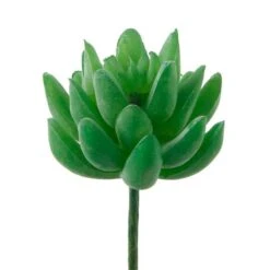 Flora Bunda® Green Small Little Gem Succulent Pick, 12ct.