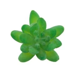 Flora Bunda® Green Small Little Gem Succulent Pick, 12ct. -Michaels Shop D581966S 2