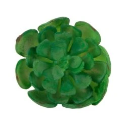 Flora Bunda® Small Echeveria Succulent Pick, 12ct.