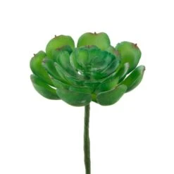 Flora Bunda® Small Echeveria Succulent Pick, 12ct. -Michaels Shop D581967S 2