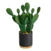 10'' Cactus Succulent Artificial Plant In Planter 1 10'' Cactus Succulent Artificial Plant In Planter -Michaels Shop D590116S 1