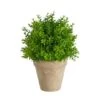 8'' Boxwood Artificial Plant In Decorative Planter 2 8'' Boxwood Artificial Plant In Decorative Planter -Michaels Shop D590117S 1