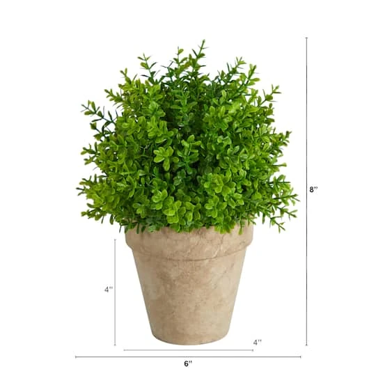 8'' Boxwood Artificial Plant In Decorative Planter 5 8'' Boxwood Artificial Plant In Decorative Planter - Image 3