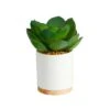 6'' Succulent Artificial Plant In White Ceramic Planter -Michaels Shop D590119S 1